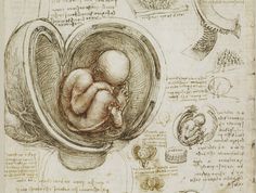 Lame_2_immagine_4jpg